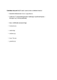 Komórki układu SALT - opracowanie