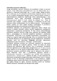 Scharakteryzuj proces adhezyjny-opracowanie