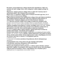 PLAGIAT - wykład