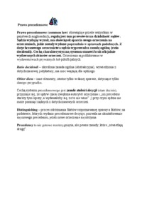 Prawo precedensowe - wykład