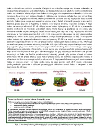 Hałas w środowisku pracy - omówienie