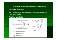 transport-masy-rownoleglej-omowienie