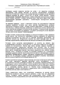 modelowanie-procesow-opakowania-ziaren-omowienie