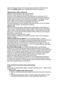 prawo-konstytucyjne-zasada-supremacji-parlamentu