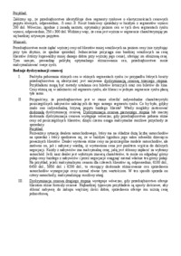 rachunek-ekonomiczny-w-marketingu-2