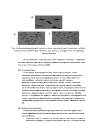 Kompozyty polimerowe - wykład