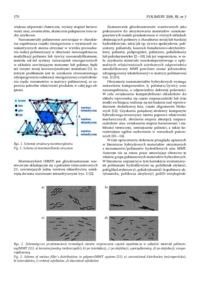 Wykład o polimerach