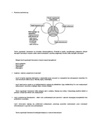 Wykład - podział podmiotowy