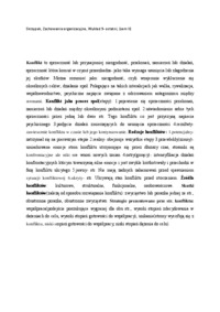 zachowania-organizacyjne-wyklad-9-sem-ii