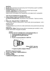 Wykład - grzyby, sem III