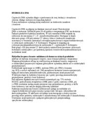 Wykład - hydroliza DNA, sem III