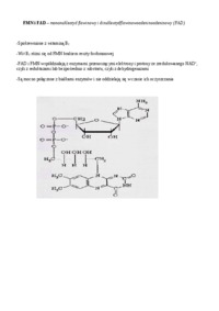 FMN FAD - wykład