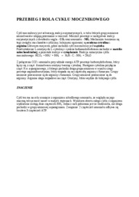 Wykład - przebieg i rola cyklu mocznikowego, sem III