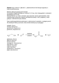 Wykład o bakteriach