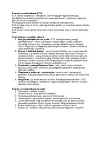 wyklad-kluczowe-czynniki-sukcesu-sem-iv