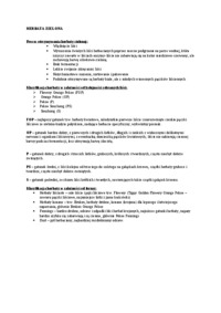 Wykład - herbata zielona, sem V