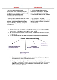 teorie-rozwoju-osobowosci-wyklady