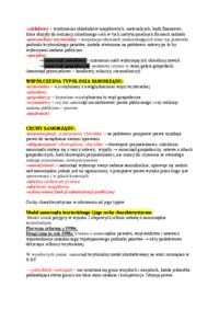 Samorząd - omówienie (II sem)