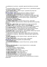 Mięśnie kończyny dolnej - omówienie, sem IV