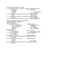 rodzaj-chamaecyparis-wyklad