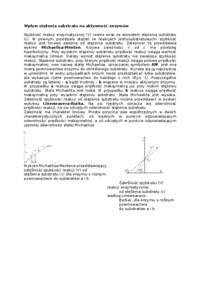 Wykład - wpływ stężenia substratów