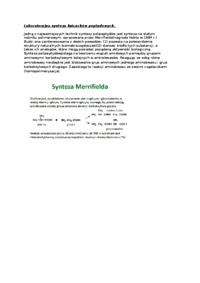 budowa-laboratoryjna-synteza-lancuchow-peptydowych-wyklad