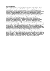 odruchy-posturalne-omowienie-sem-i-iv