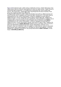 Serce ryb - opracowanie