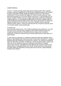 gametogeneza-wyklad