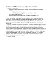 Gromada Amphibia - żaba wodna - wykład