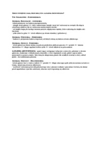 Wykład - latarnia Arystotelesa