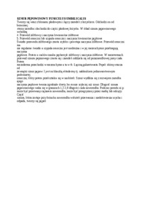 wyklad-sznur-pepowinowy