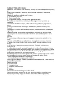 wyklad-narzady-pierwotne-ssaka