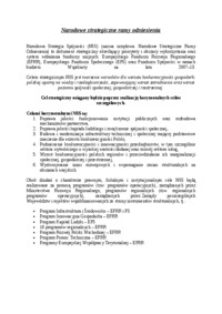 Narodowe strategiczne ramy odniesienia