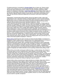 postaway-telekomunikacji-pytania-na-zaliczenie