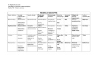 Modele sieciowe - wykład