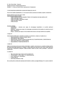 Unia Europejska jako ponadnarodowe ugrupowanie integracyjne - wykład