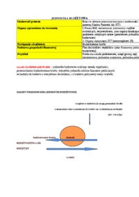 Wykład - jednostka budżetowa