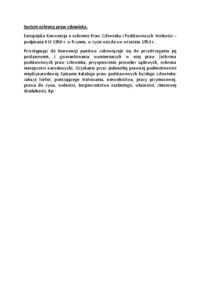 System ochrony praw człowieka - opracowanie