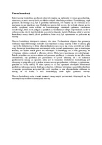 umowa-kontraktacji-omowienie