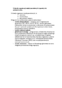 Uchwały organizacji międzynarodowych - omówienie