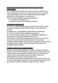 odpowiedzialnosc-na-zasadzie-ryzyka-omowienie