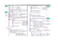konczyna-gorna-splot-ramienny-nerwy