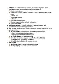 dochody-skarbu-za-panowania-kazimierza-wielkiego-omowienie