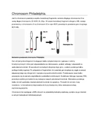 chromosom-philadelphia