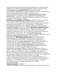 embriologia-układ szkieletowy i miesniowy