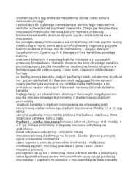 embriologia-rowój układu moczowo-płciowego