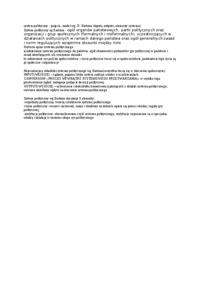  system polityczny - omówienie 