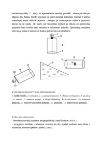 pomiary-spektrofotometryczne-omowieni-e