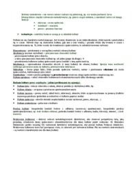 socjologia-wyklad-z-pojec